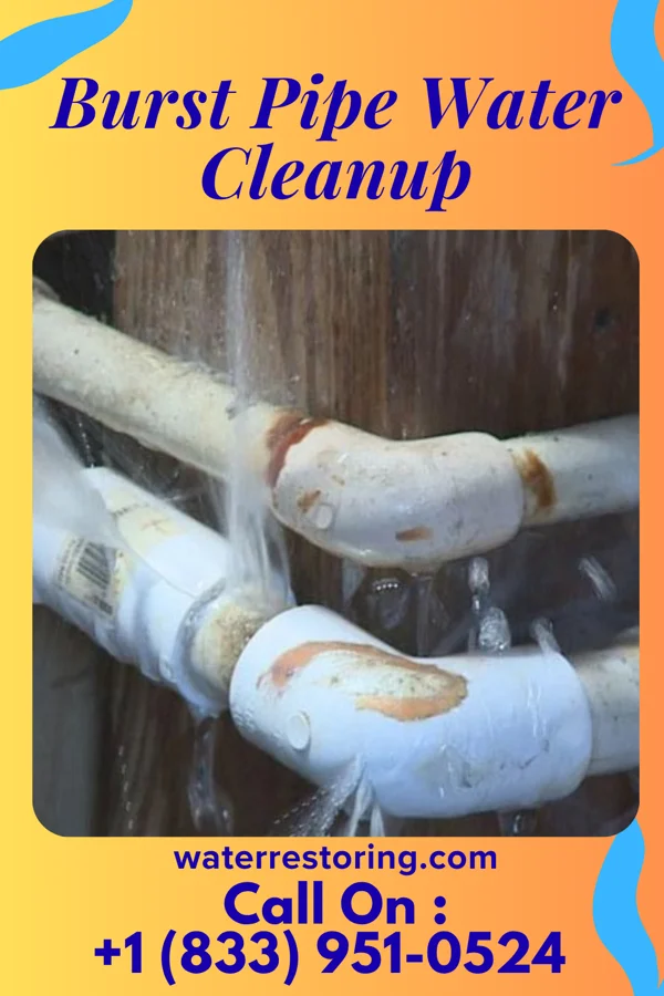 Burst Pipe Water Cleanup in Mayview, MO